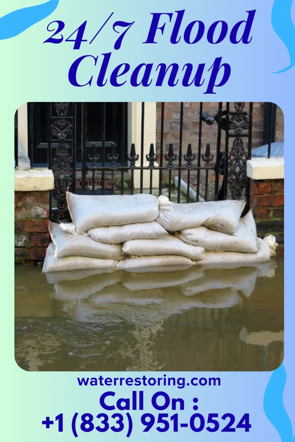 24/7 Flood Cleanup in Goreville, IL