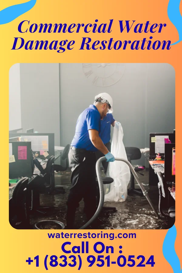 Commercial Water Damage Restoration in Goreville, IL