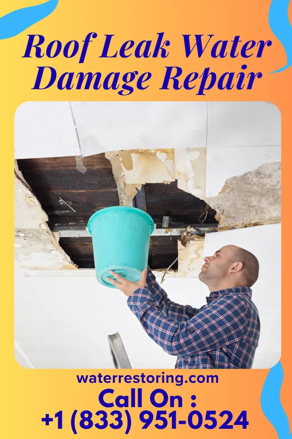 Roof Leak Water Damage Repair in Goreville, IL