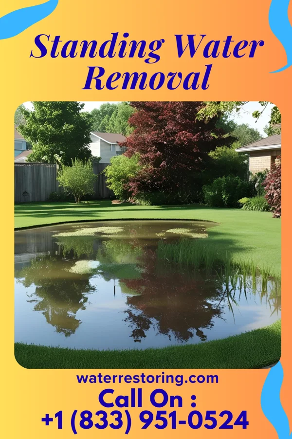 Standing Water Removal in Goreville, IL